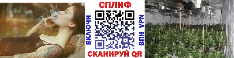 Купить закладку Кокаин A PVP ГАШ Псилоцибиновые грибы Меф мяу мяу Марихуана Дзержинск