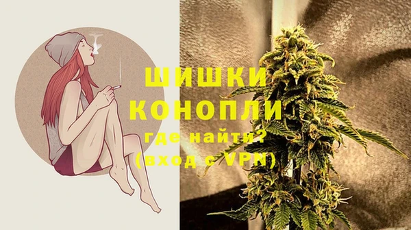 a pvp Магас