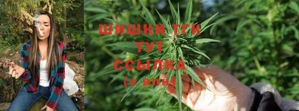 a pvp Магас