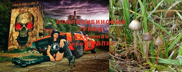 a pvp Магас