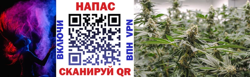 Купить закладки  Дзержинск  Марихуана White Widow 